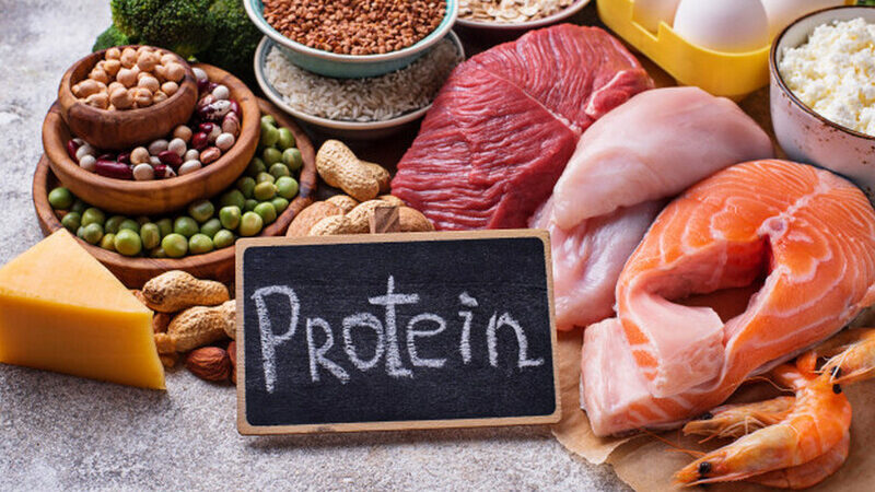 Protein là nguồn năng lượng quan trọng cho cơ thể và giúp duy trì khối lượng cơ bắp